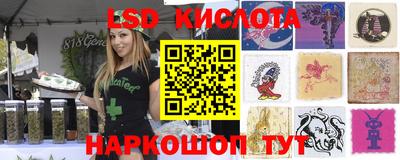 ГАЛЛЮЦИНОГЕННЫЕ ГРИБЫ Дубна